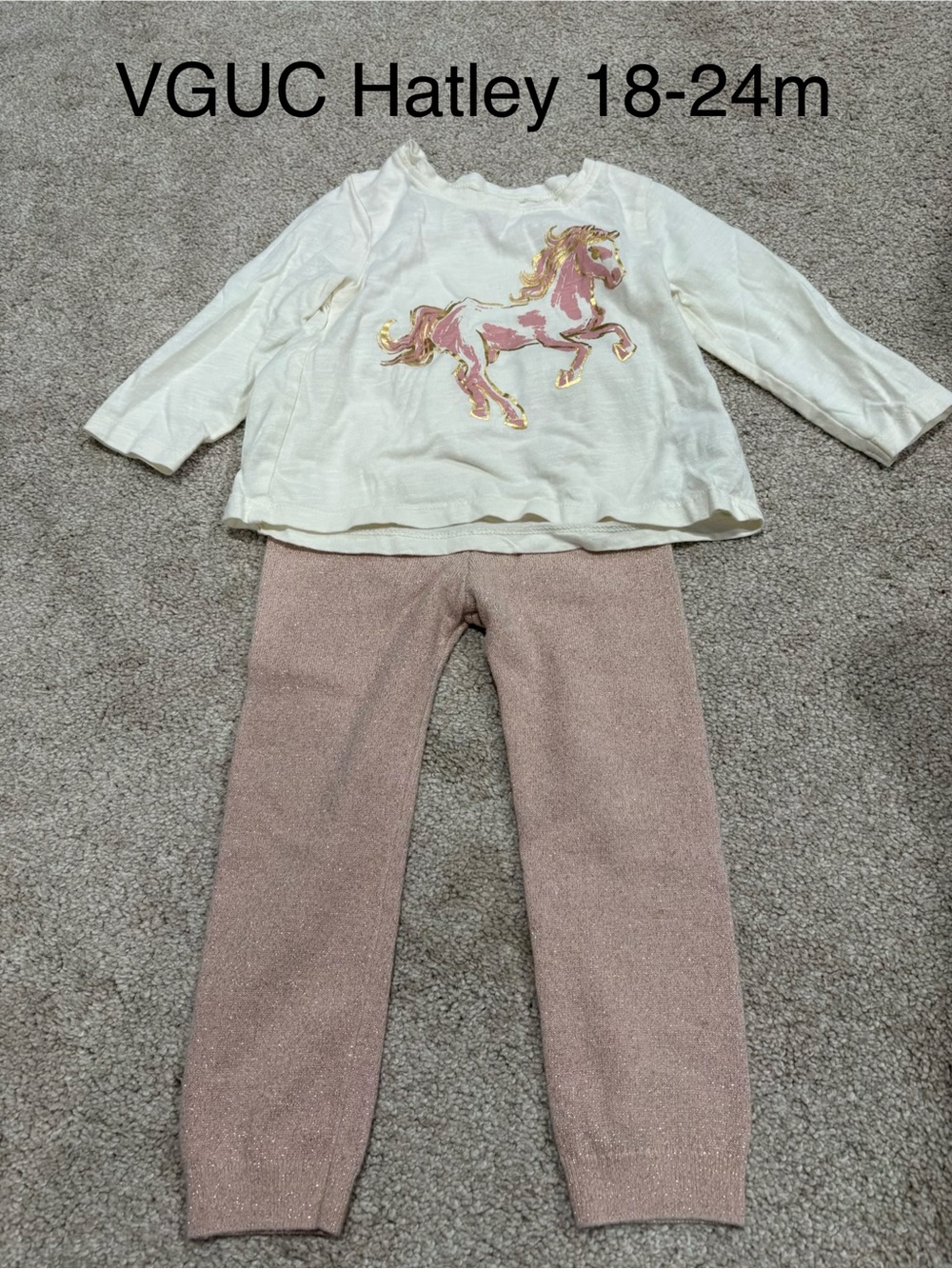 Hatley horse outfit